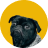 Foto de perfil de um cachorro preto.